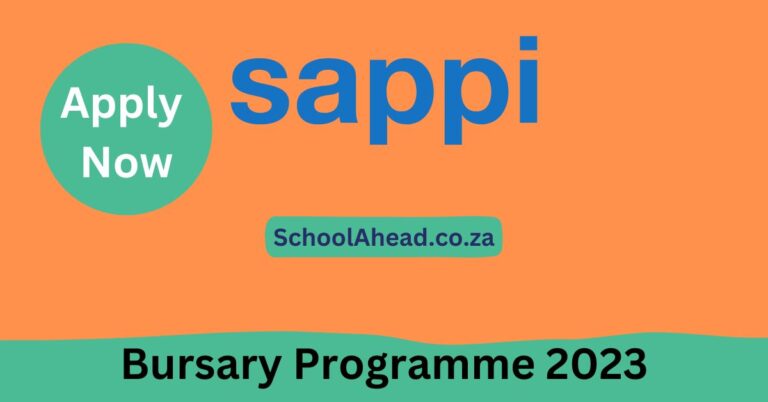 Sappi Bursary