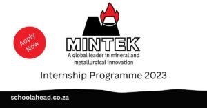 Mintek Internship Programme