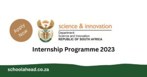 Department of Science and Innovation (DSI) Internship Programme