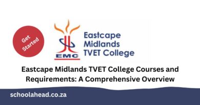 Eastcape Midlands TVET College Courses And Requirements A   Eastcape Midlands TVET College Courses And Requirements 390x205 