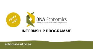 DNA Economics Internship Programme