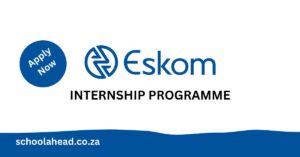 Eskom Internship Programme