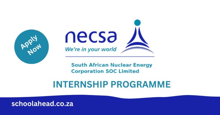 Necsa Internship Programme