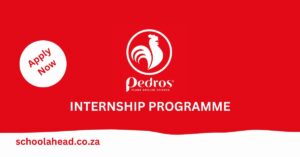 Pedros Internship Programme