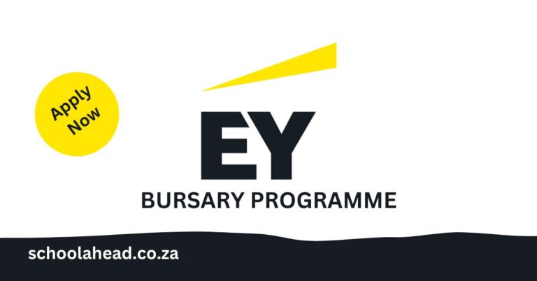 EY South Africa Bursary Programme