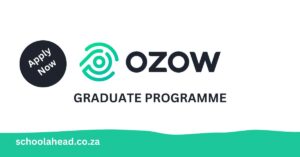 Ozow Internship Programme