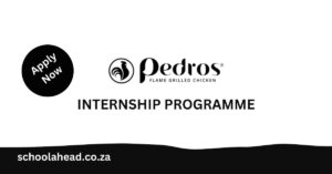 Pedros Internship Programme
