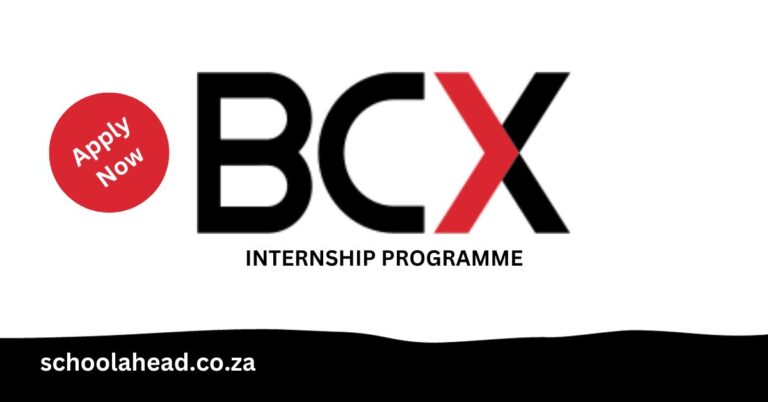 BCX Internship Programme