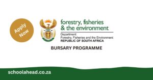 Department of Forestry, Fisheries and the Environment Bursary Programme