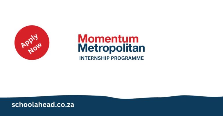 Momentum Metropolitan Internship Programme