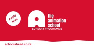 Netflix and Animation School Bursary Programme