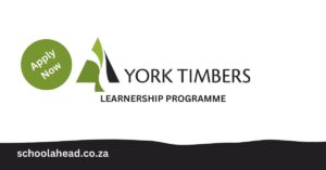 New York Learnership Programme