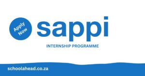 Sappi Internship Programme