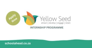 Yellow Seed Internship Programme