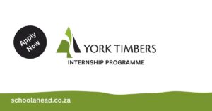 York Timbers Internship Programme