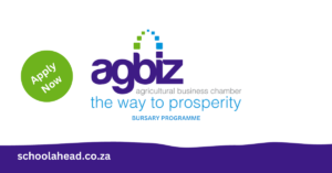 Agbiz Bursary Programme