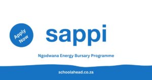 Ngodwana Energy Bursary Programme