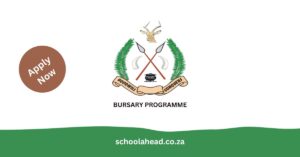 Bushbuckridge Local Municipality Bursary Programme