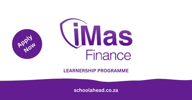 IMas Finance Internship Programme