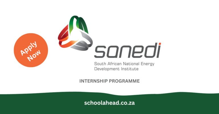 SANEDI Internship Programme