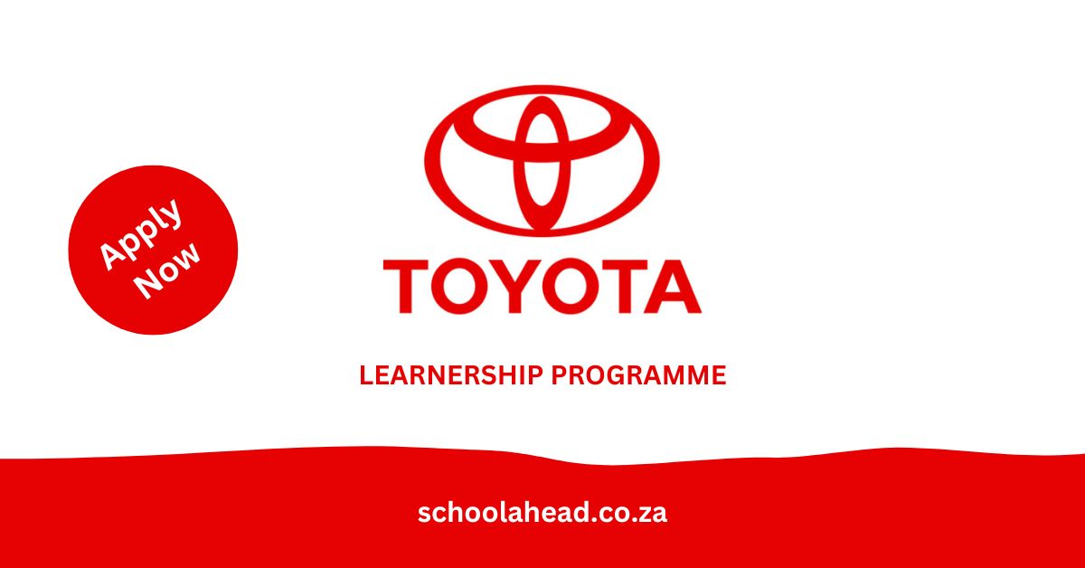 Toyota Learnership Opportunity 2024 SchoolAhead