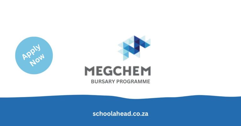 Megchem Bursary Programme