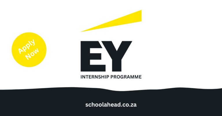 Ernst & Young Internship Programme