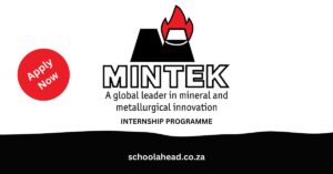 Mintek Internship Programme