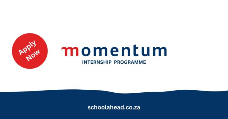 Momentum Internship Programme