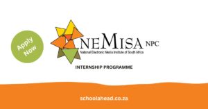 NEMISA Internship Programme