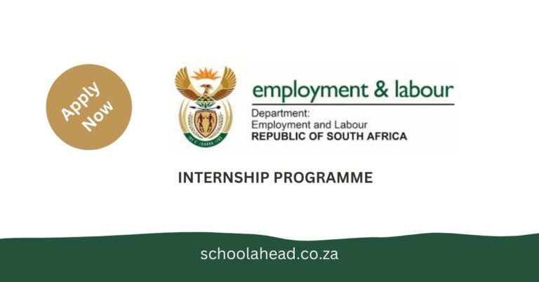 Department of Employment and Labour Internship Programme