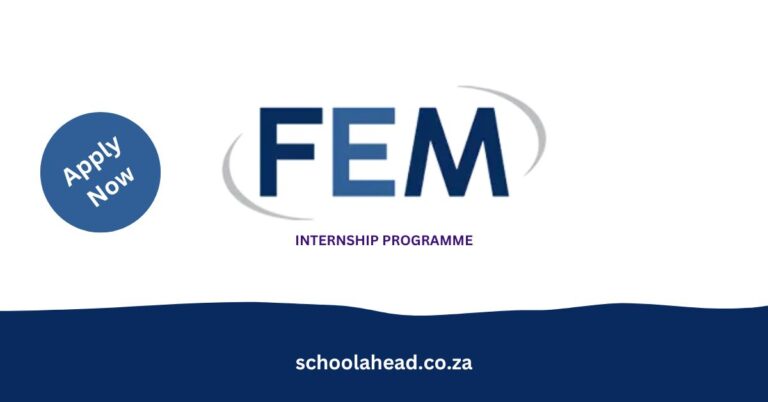 FEM Internship Programme
