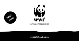 WWF (the World Wide Fund for Nature) Internship Programme