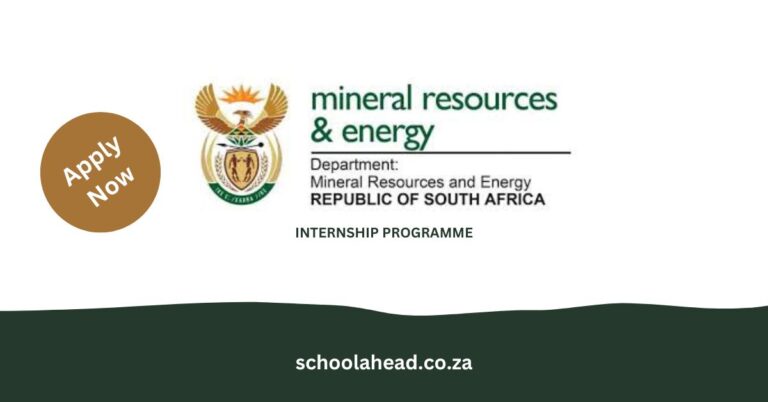 Department of Mineral Resources and Energy Internship Programme