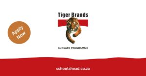 Tiger Brands Bursary Programme