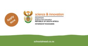 Department of Science and Innovation (DSI) Internship Programme