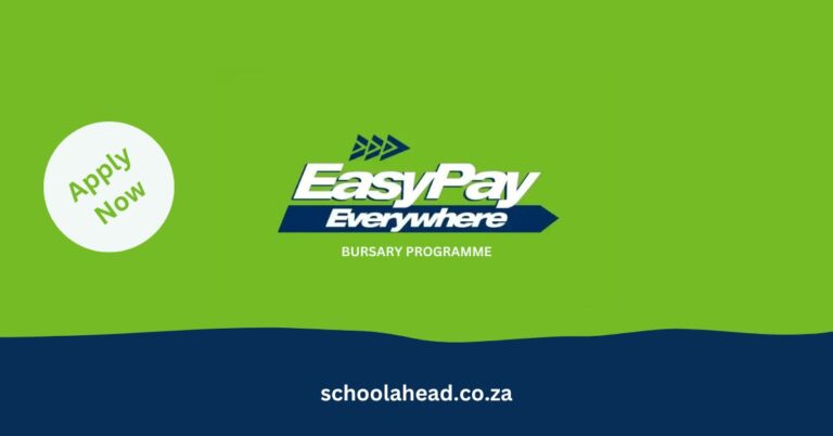 EasyPay Bursary Programme