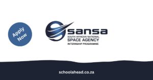 SANSA Internship Programme