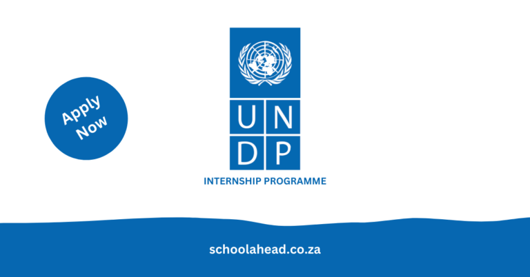 UNDP Internship Programme